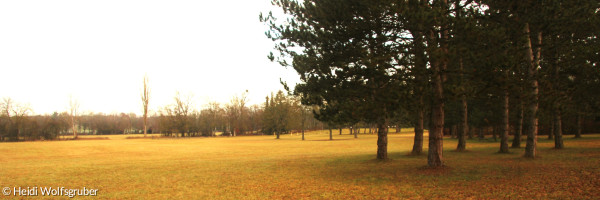 Blick in Gelände der Landeskartenschau