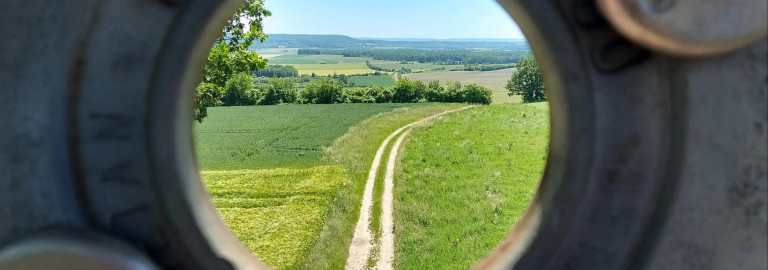 Blick in den Ehegrund vom Aussichtsturm Hüßbachleite