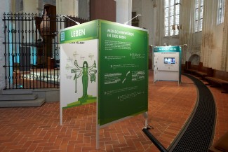 Kirche und Gesellschaft - Ausstellung Menschenrechte