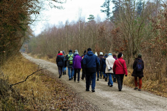 Spiritualität & Pilgern Pilgern statt Shoppen im herbstlichen Wald