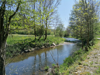 Fluss Tauber im Frühjahr