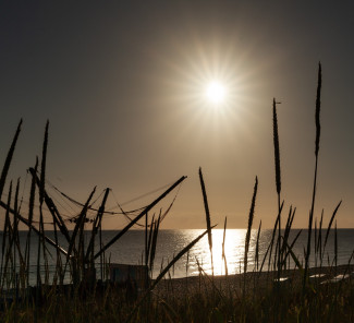 Rund um Leben und Sterben Sonnenuntergang auf Usedom