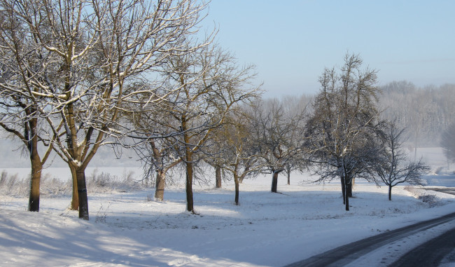 Winterlandschaft mit Obstbäumen