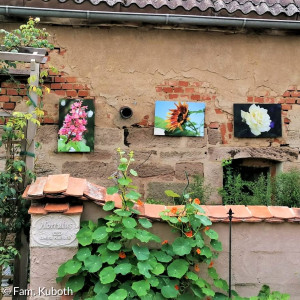 Bilder auf Hauswand mit Ziegelsteinen